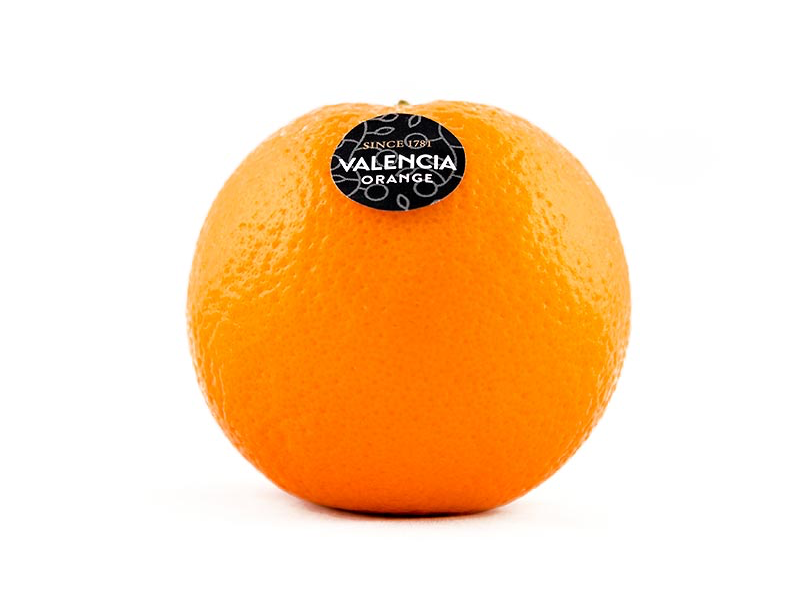 Naranja Valencia