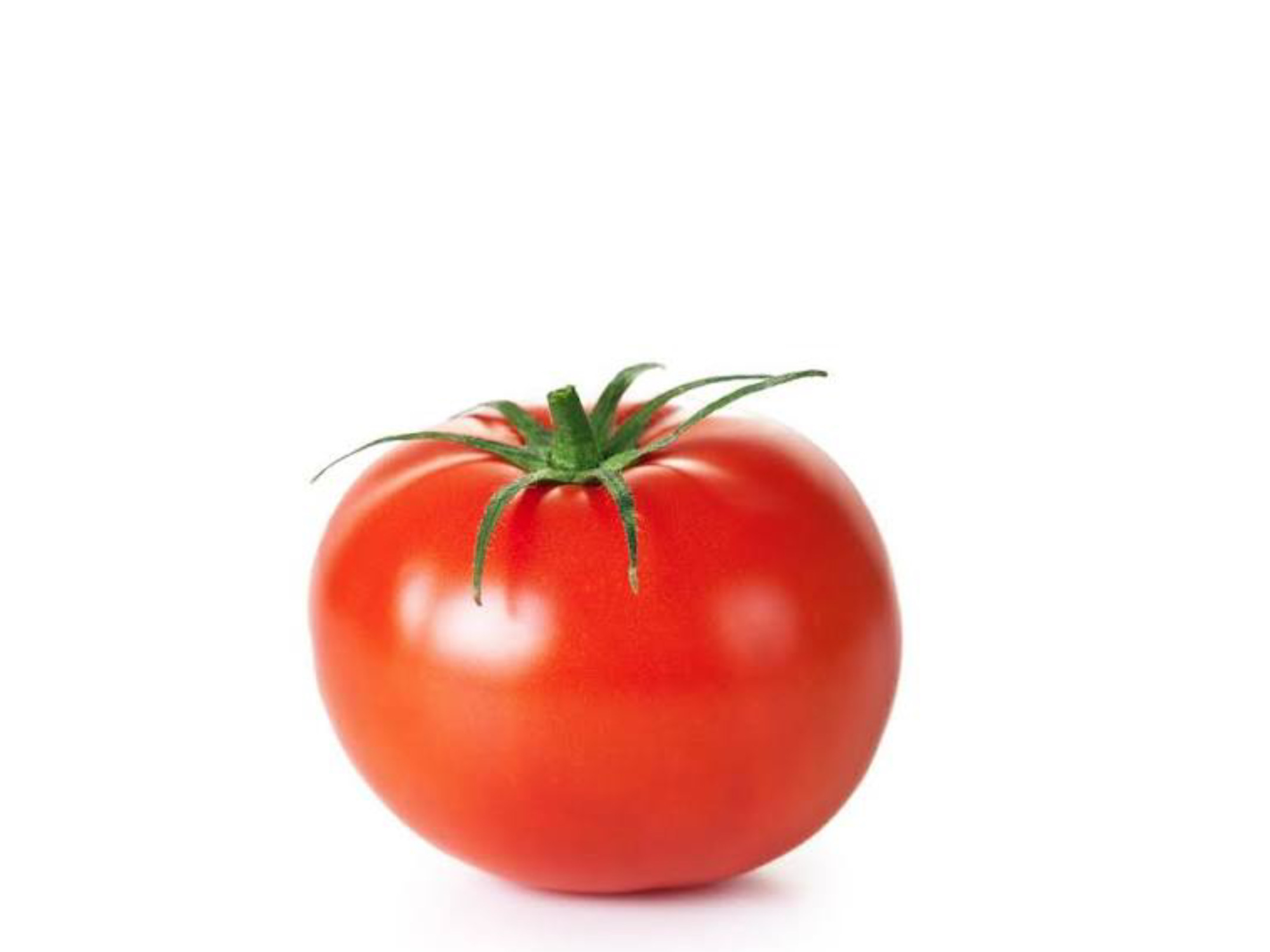 Tomate Redondo Norteño