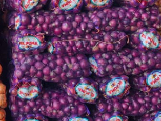 Cebolla morada comercial