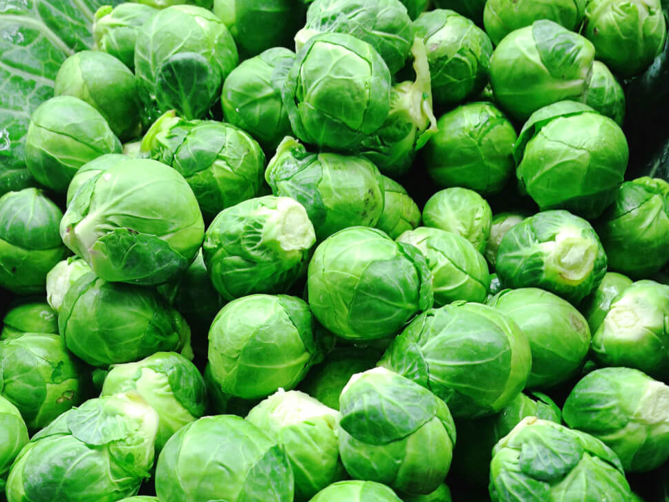 Repollo Bruselas