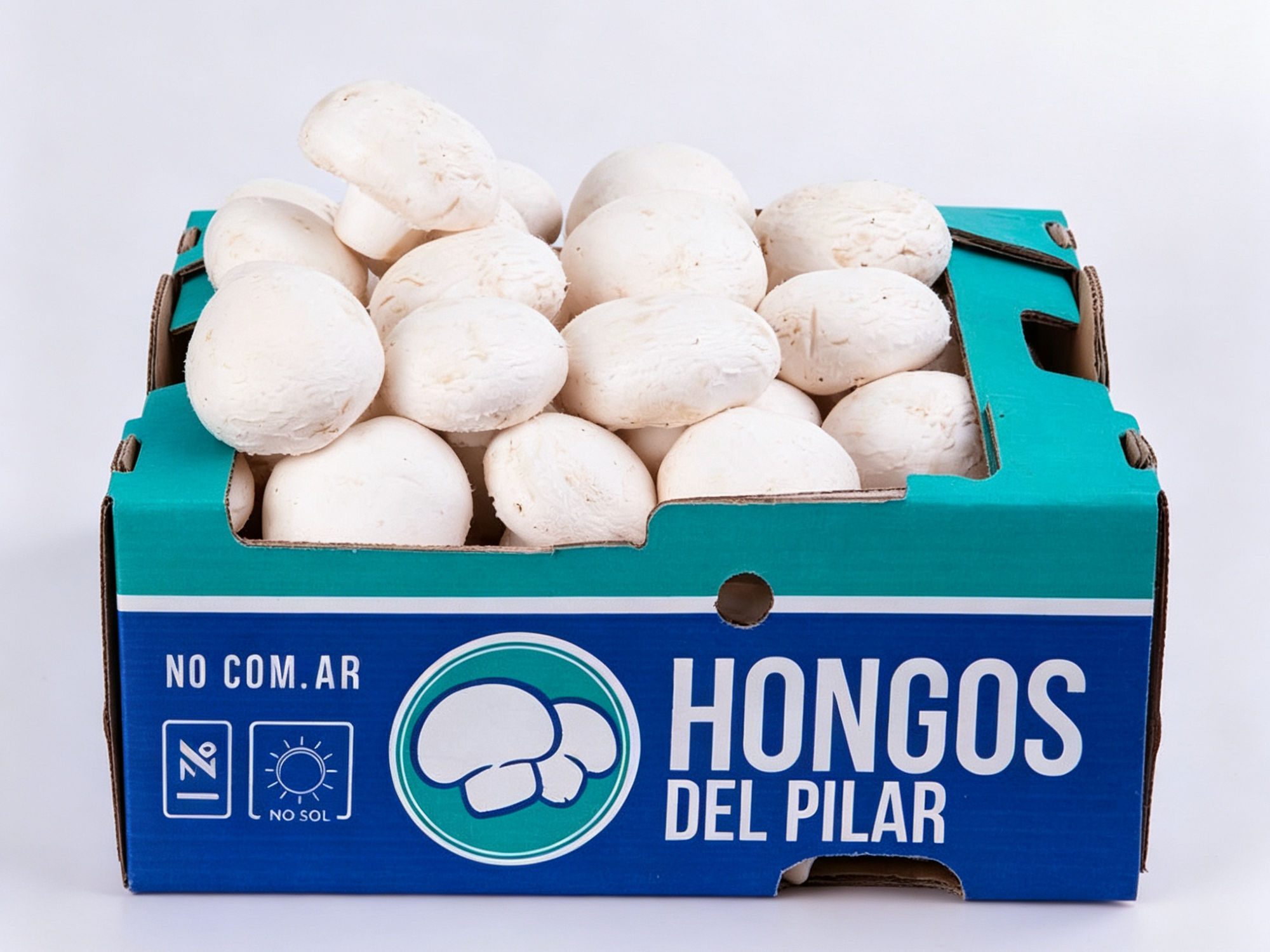 Champignon x caja de 5kg