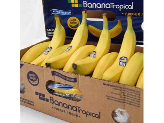 Banana Ecuador tropical