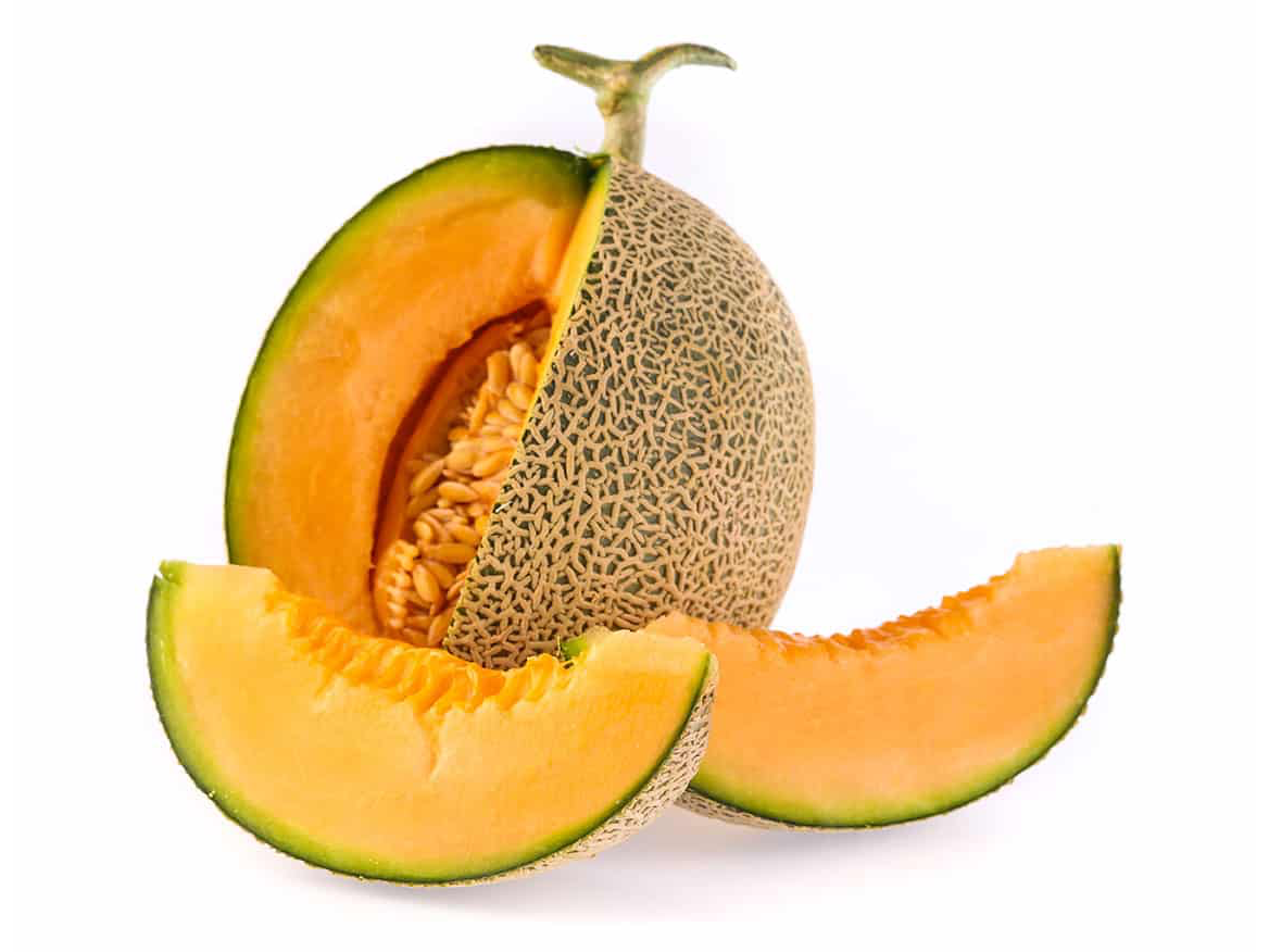 Melón escrito
