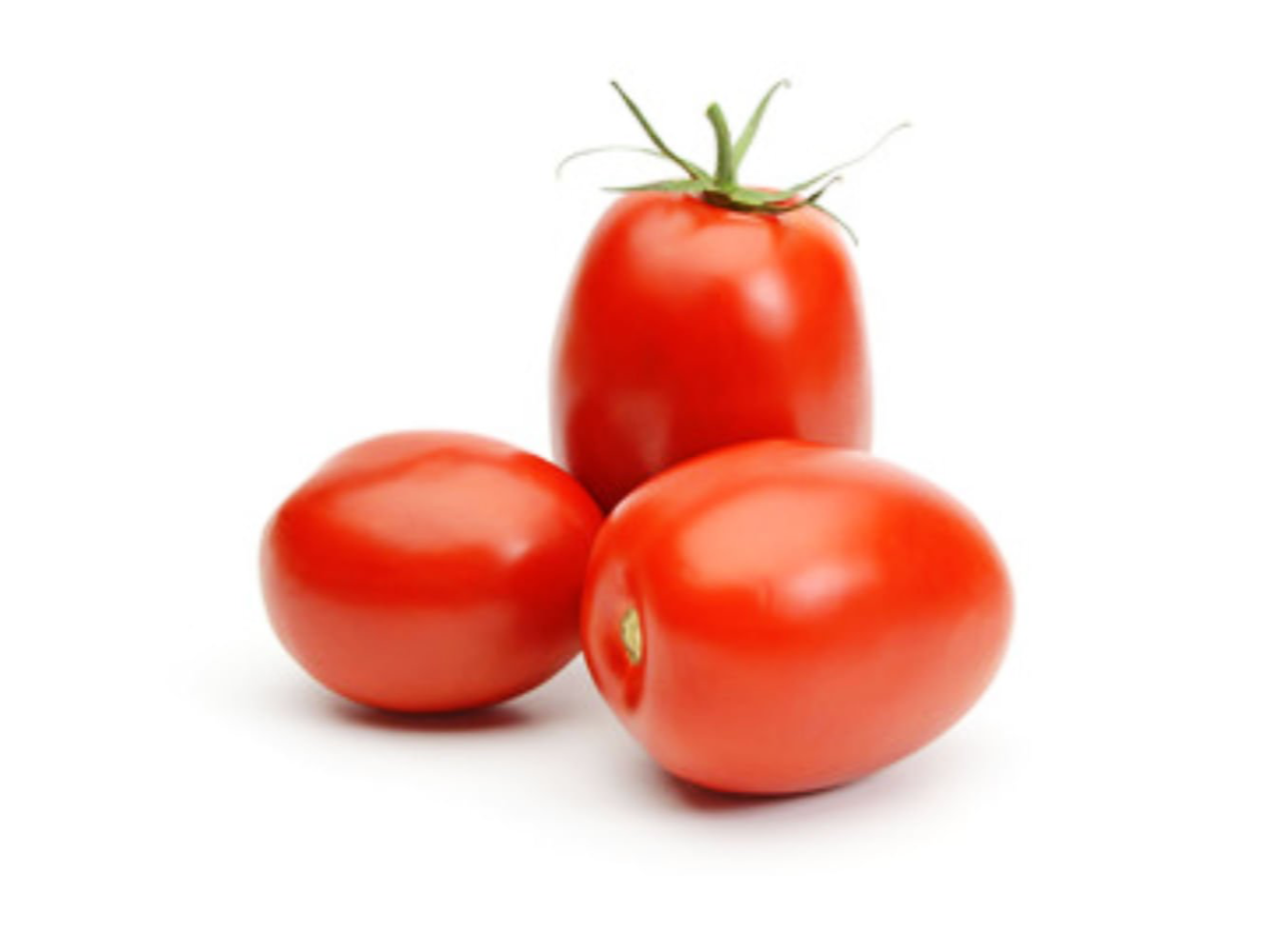Tomate perita norteño