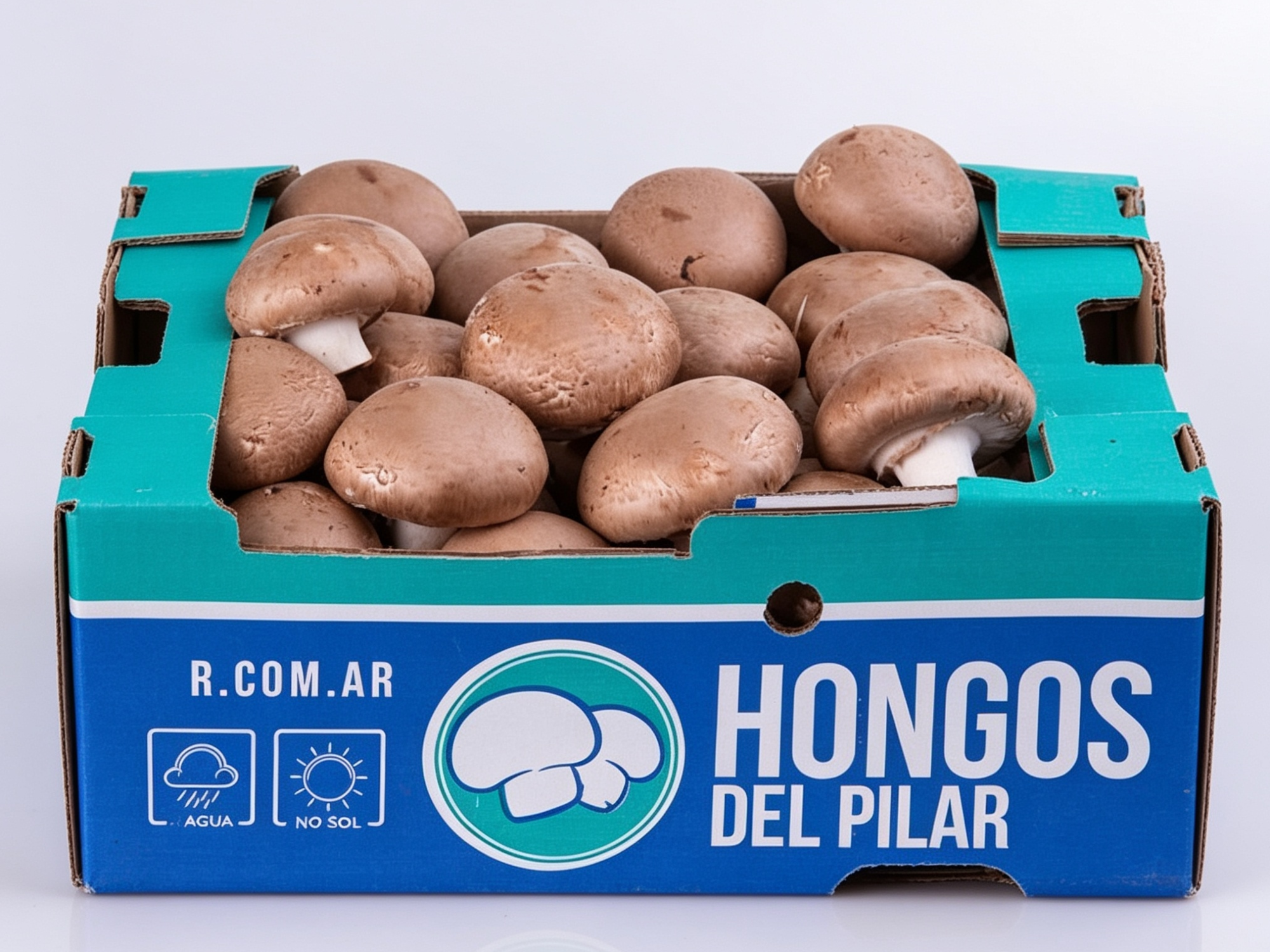 Portobello x caja de 5kg