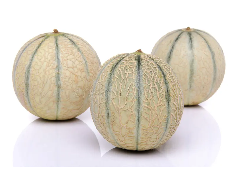 Melón charentais