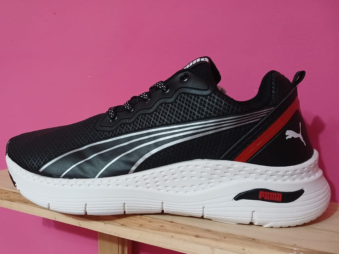 PUMA 2