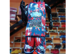 CONJUNTOS POTRERO CENTRAL SAN JAVIER