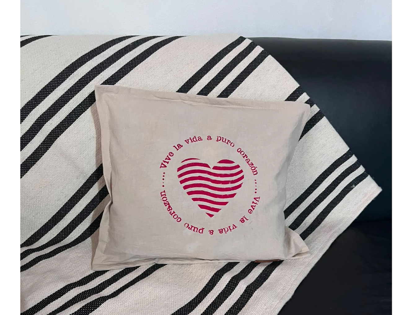 Funda para Almohadón