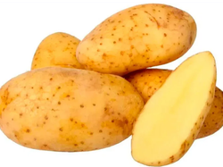 Papa