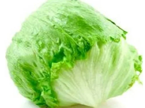 Lechuga Repollada