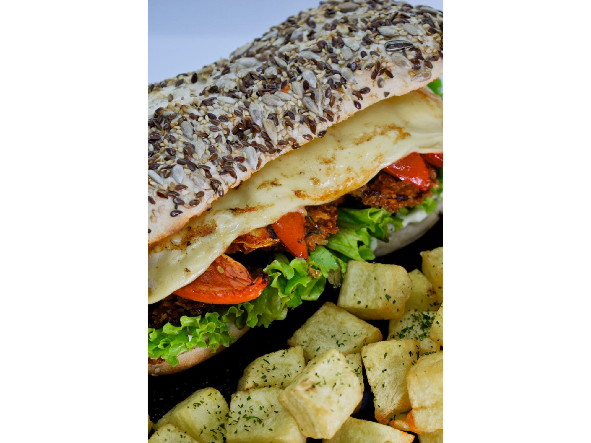 CIABATTA VEGETARIANA