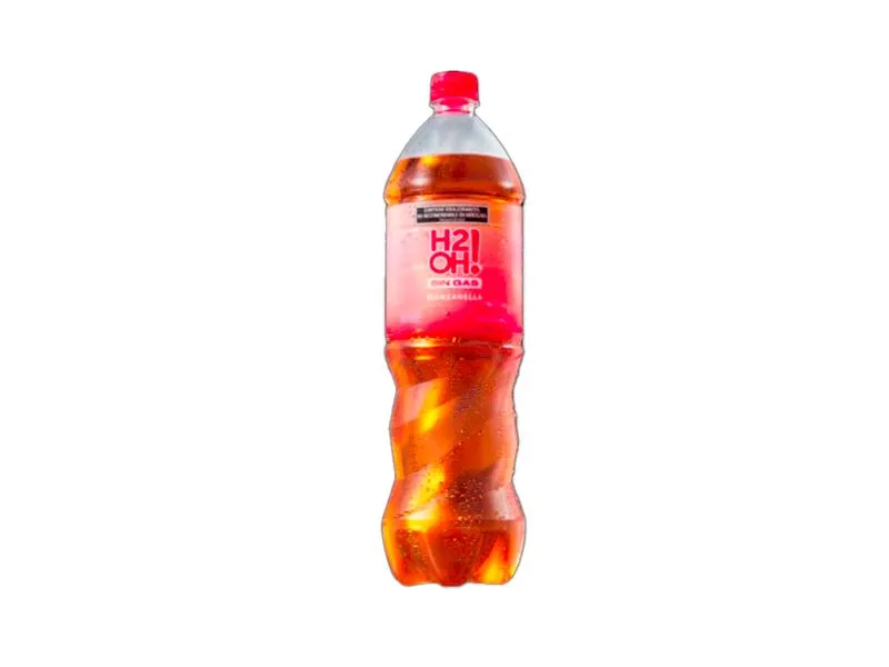 AGUA SABORIZADA
