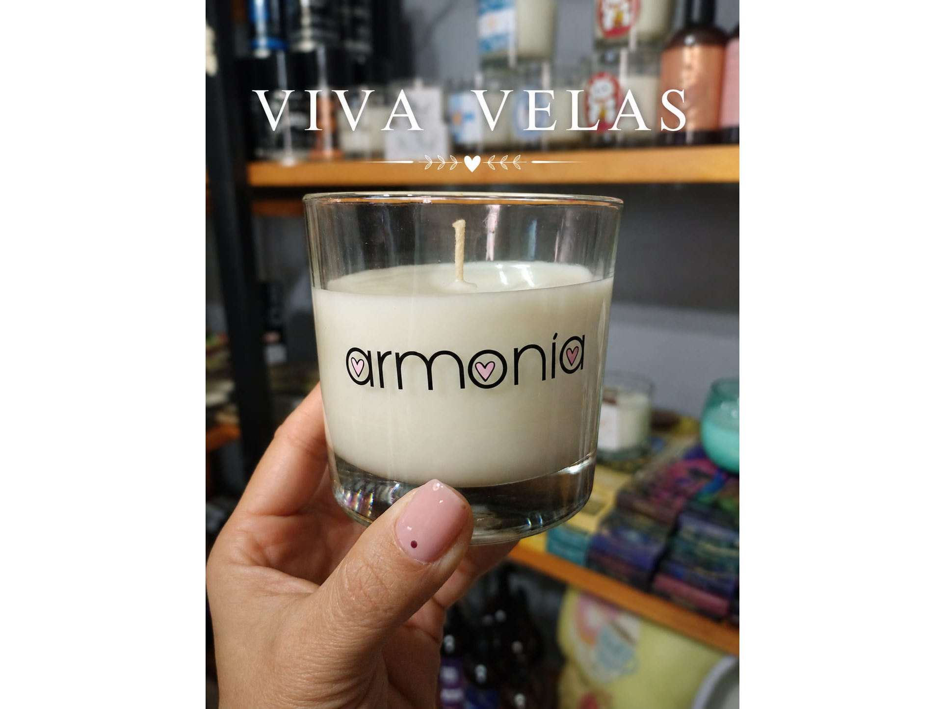 Vela Armonia