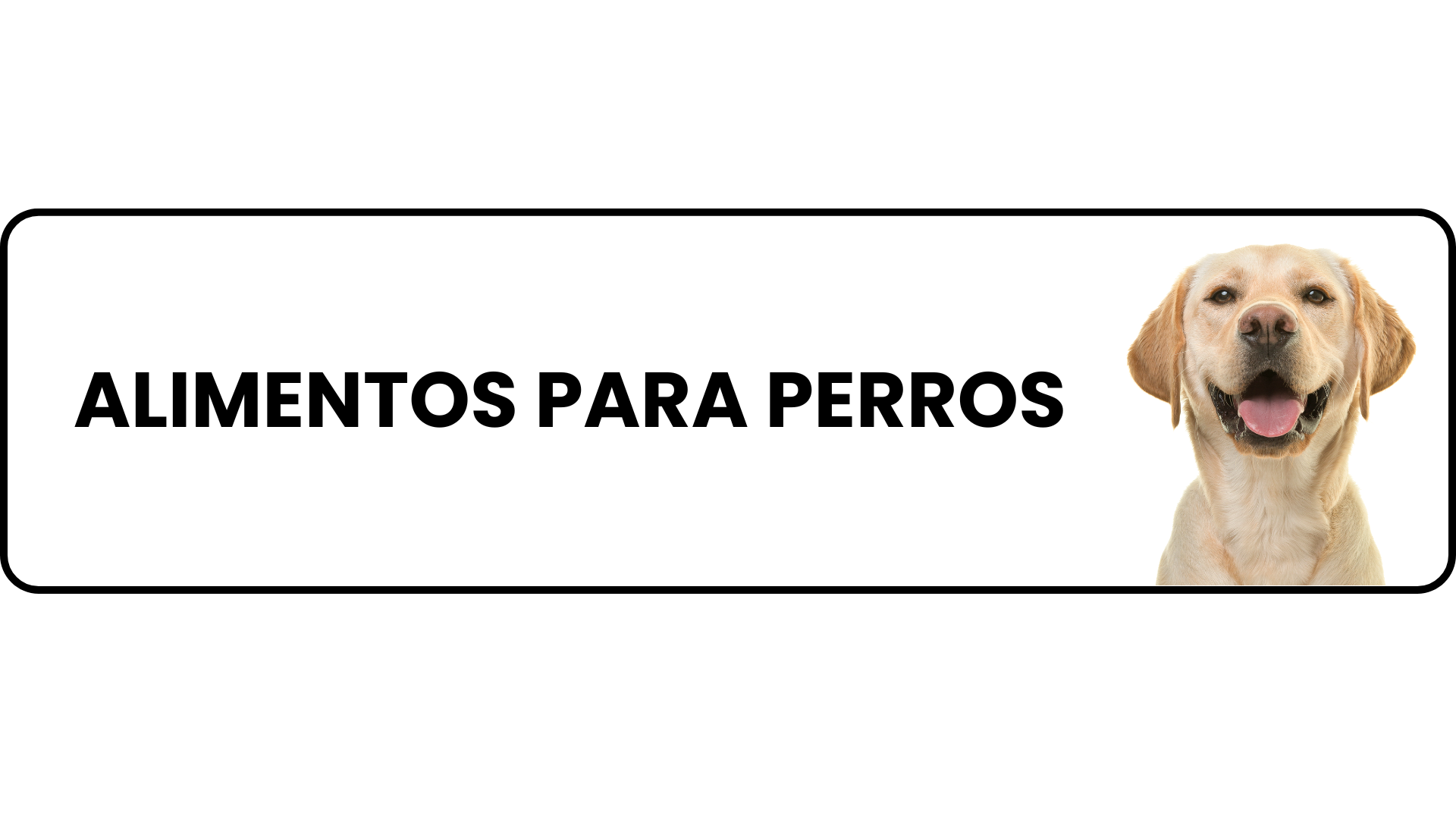 ALIMENTOS PARA PERROS