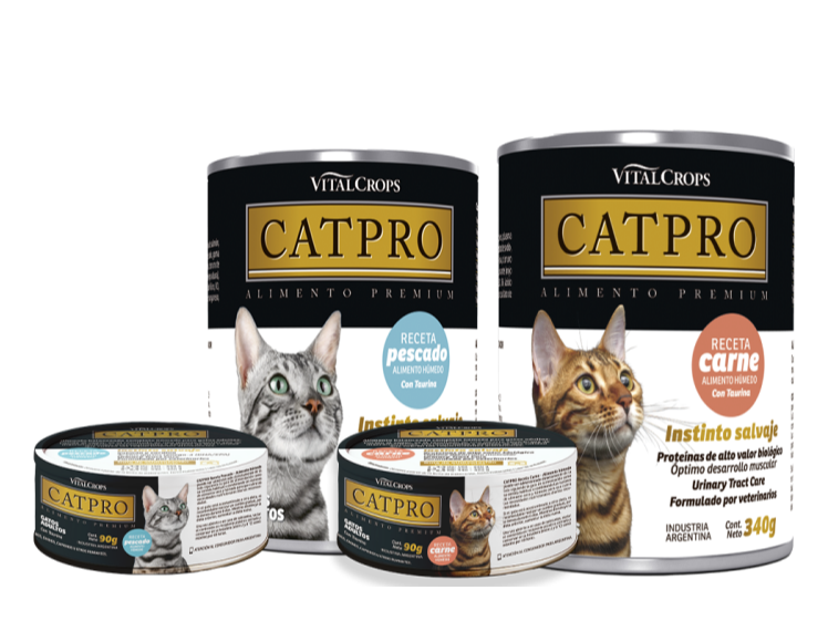 CAT PRO CARNE