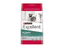 Excellent Cachorro Raza Pequeña