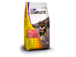 Perro Cachorro Raza Pequeña