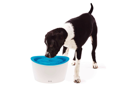 Fuente 6 lts dog it