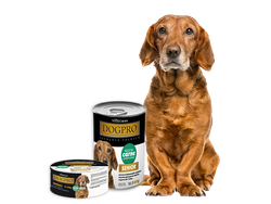 DOG PRO SENIOR +7 AÑOS