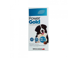 POWER GOLD MAS DE 40 KG