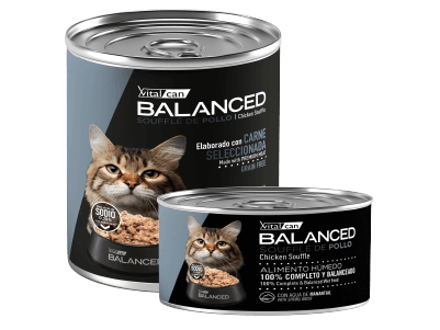 VITAL CAN + 7 AÑOS GATOS