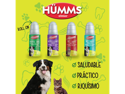HUMMS