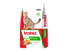 Voraz Gatos Adultos
