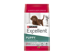 Excellent Cachorros Razas Medianas y Grandes