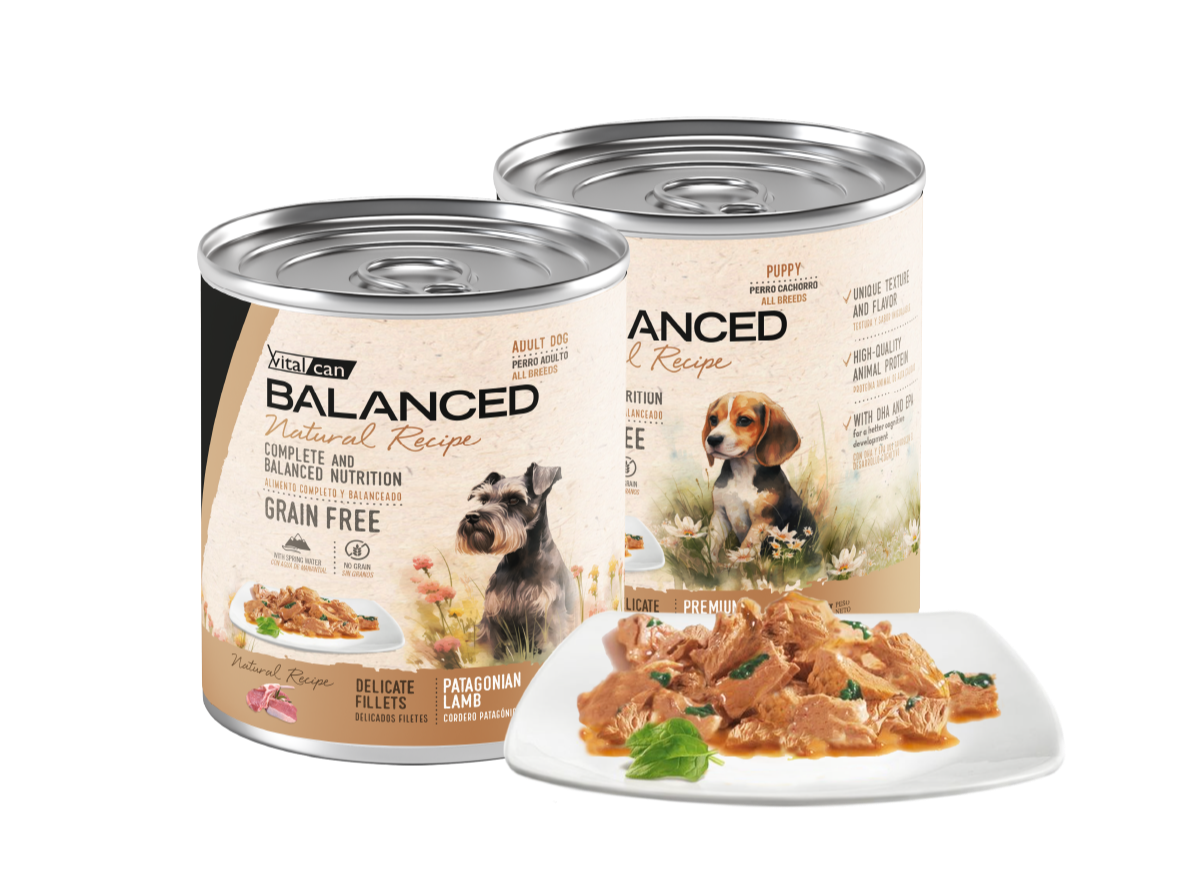 VITAL RECIPE ADULTOS