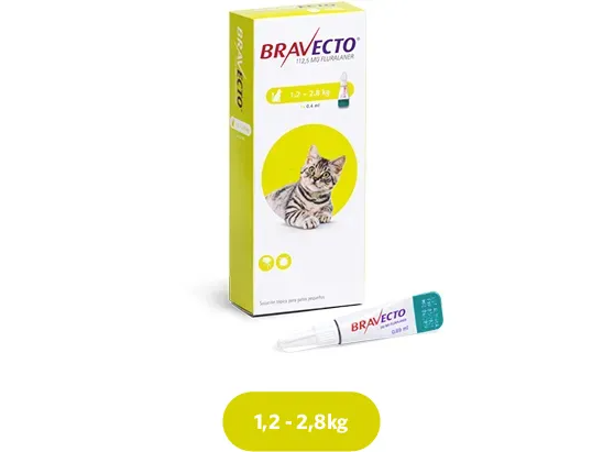 BRAVECTO GATO DE 1,2 A 2,8 KG