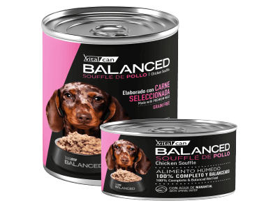 VITAL CAN CACHORRO BALANCED de Animal Park