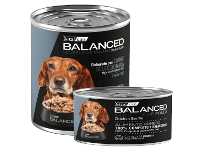 VITAL CAN + 7 AÑOS BALANCED HUMEDOS