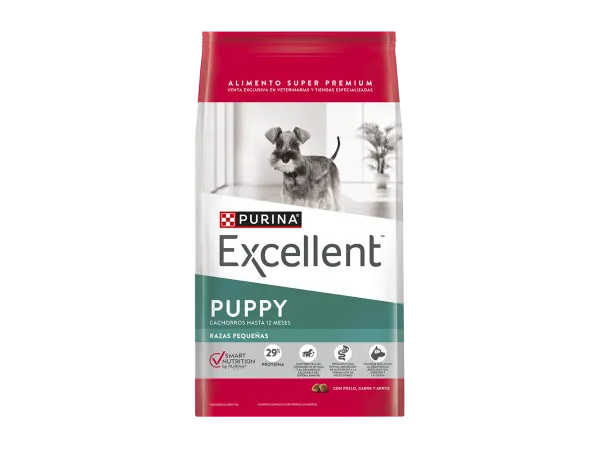 Excellent Cachorro Raza Pequeña