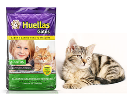 4 HUELLAS GATO ADULTO