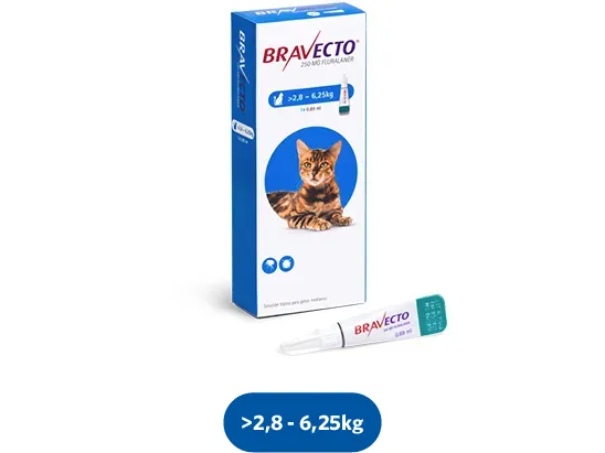 BRAVECTO GATO DE 2,8 A 6,25 KG