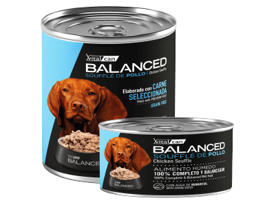 VITAL CAN ADULTO HUMEDO