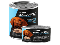 VITAL CAN ADULTO HUMEDO