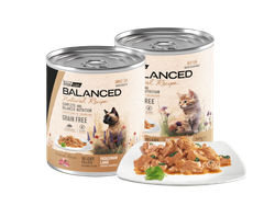 VITAL CACHORROS RECIPE