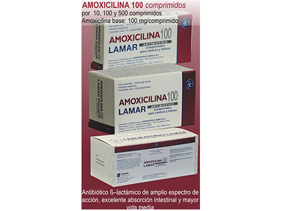 AMOXILINA X 100G