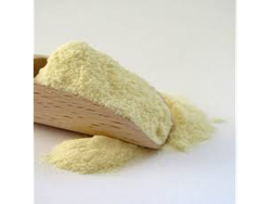 Semolín