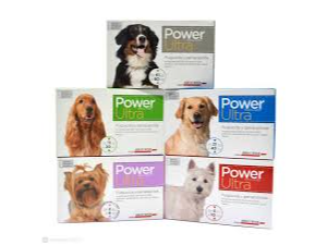 PIPETAS POWER de Forraje Montevideo
