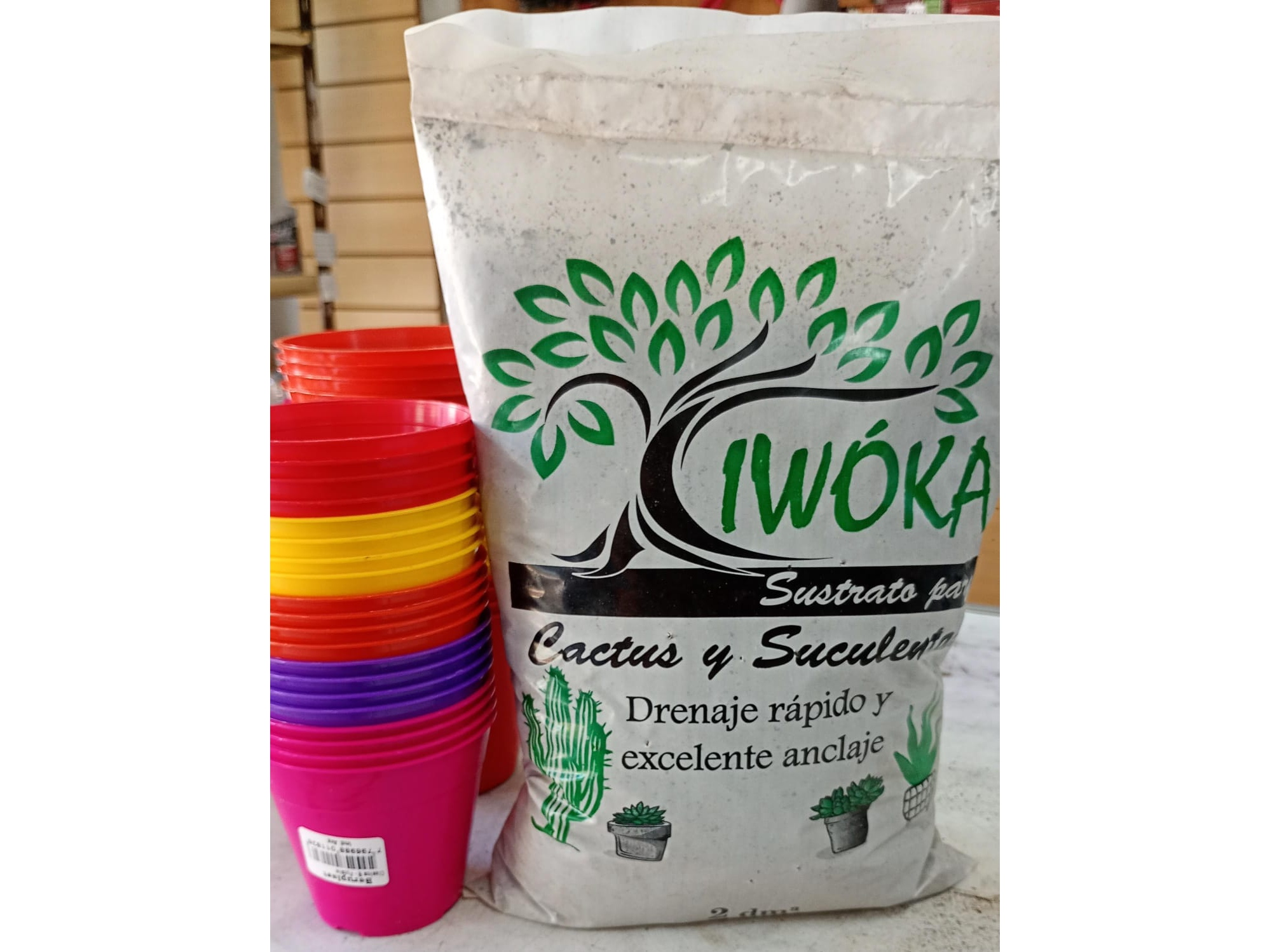 SUSTR. CACTUS Y SUCULENTAS 2dm3