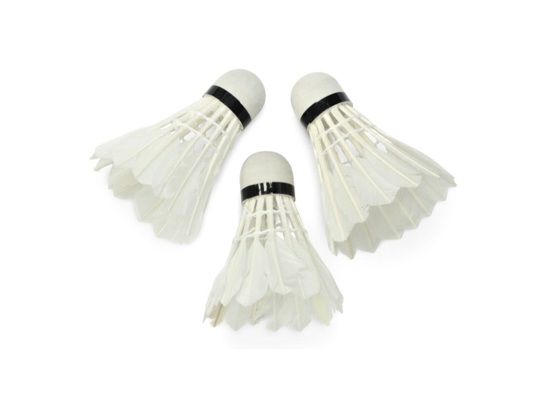 SET X3 PLUMAS GANZO