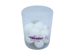 PELOTAS PING PONG 2 ESTRELLAS X24 UNIDADES
