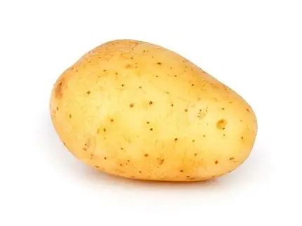 Papa