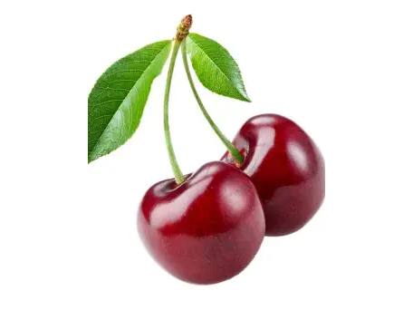 Cereza
