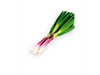 Cebolla de Verdeo