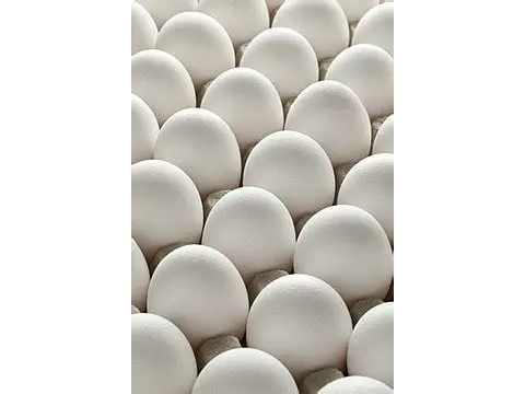 Huevos Extra Grandes ( Granja)