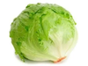 Lechuga Repollada
